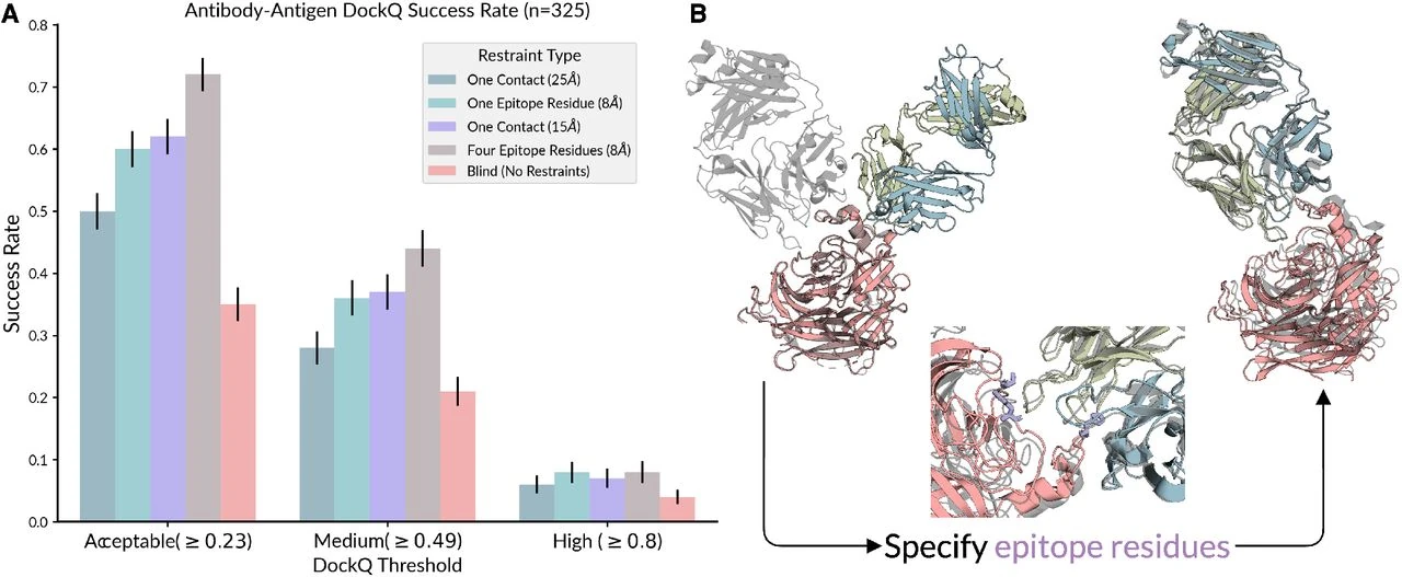 Impact of Integrating Docking Constraint Features on Predicting Antibody-Antigen Complexes