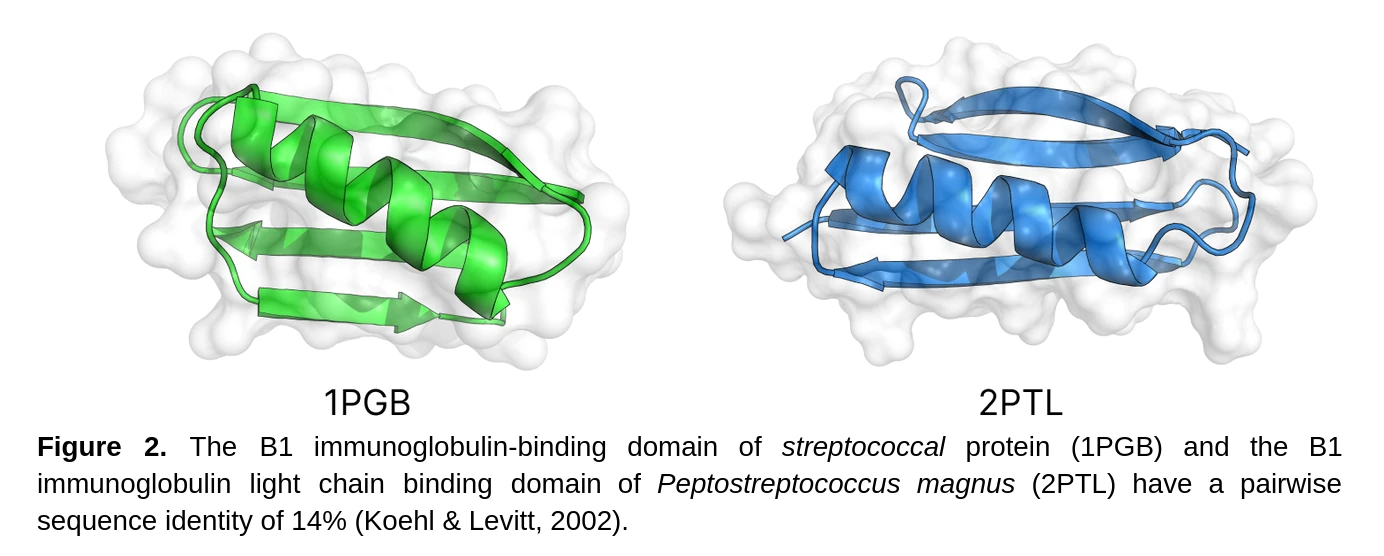 This figure from the NeuroFold paper highlights the primary assumption made by inverse folding models