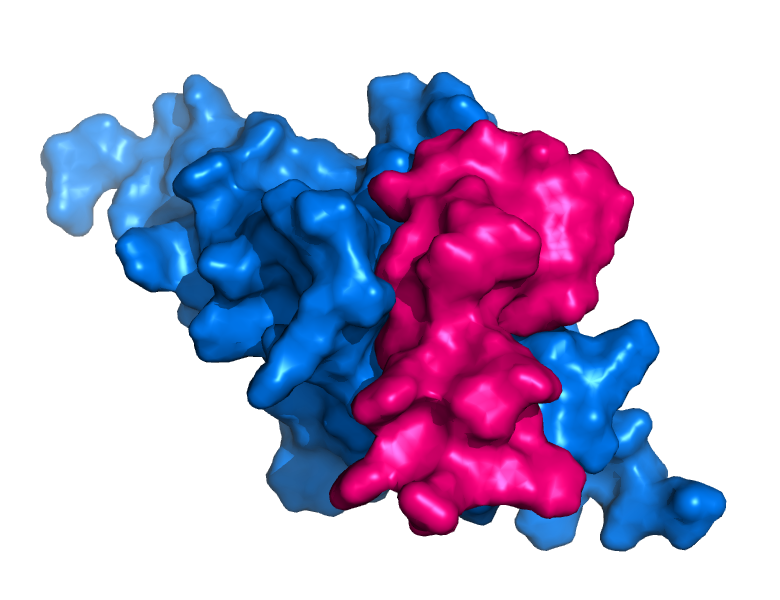 A small protein binder designed with AlphaFold2 for inhibiting Human PDCD1 as a means of treating certain types of cancer.