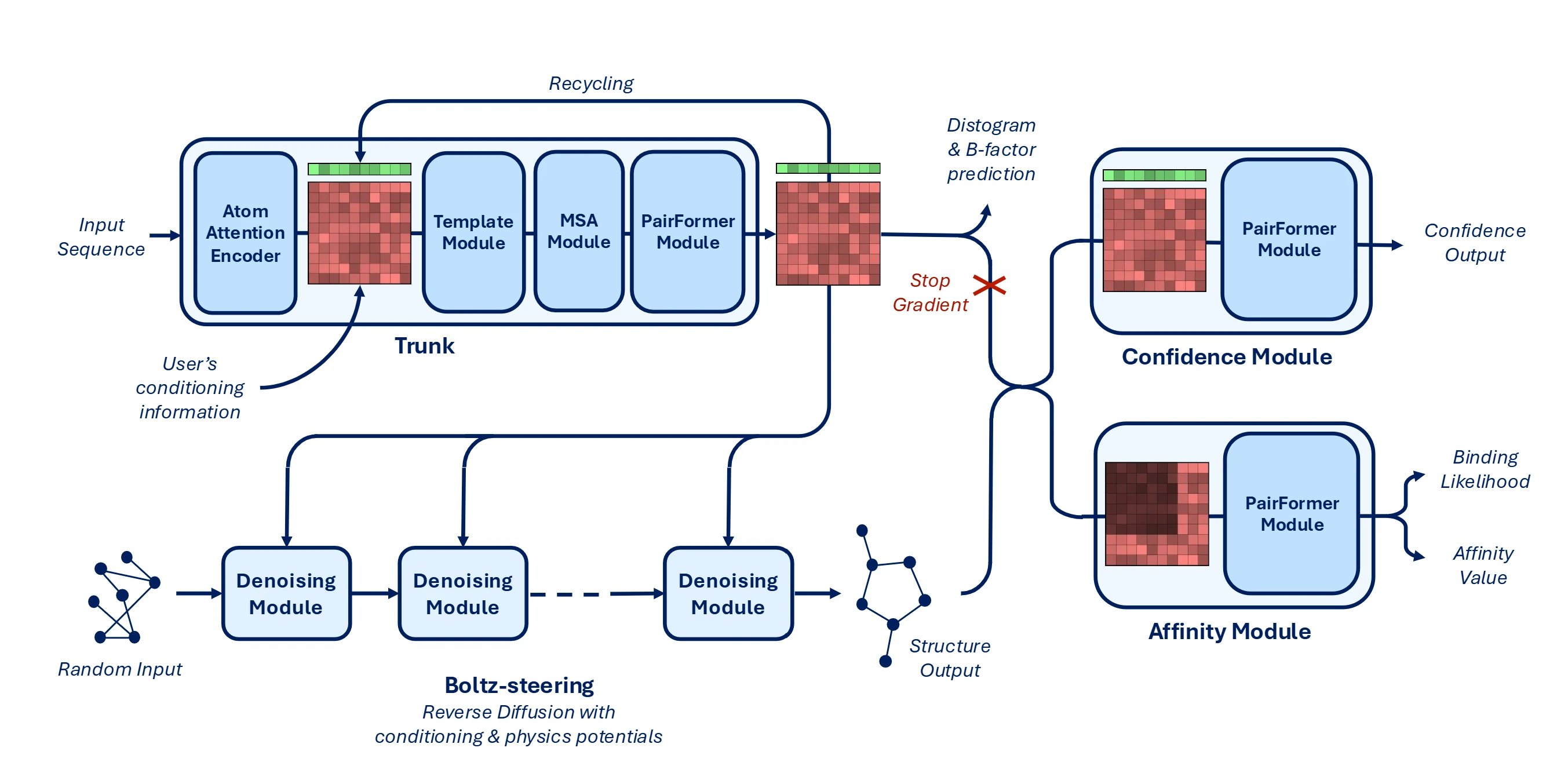 Boltz-2 Architecture Overview