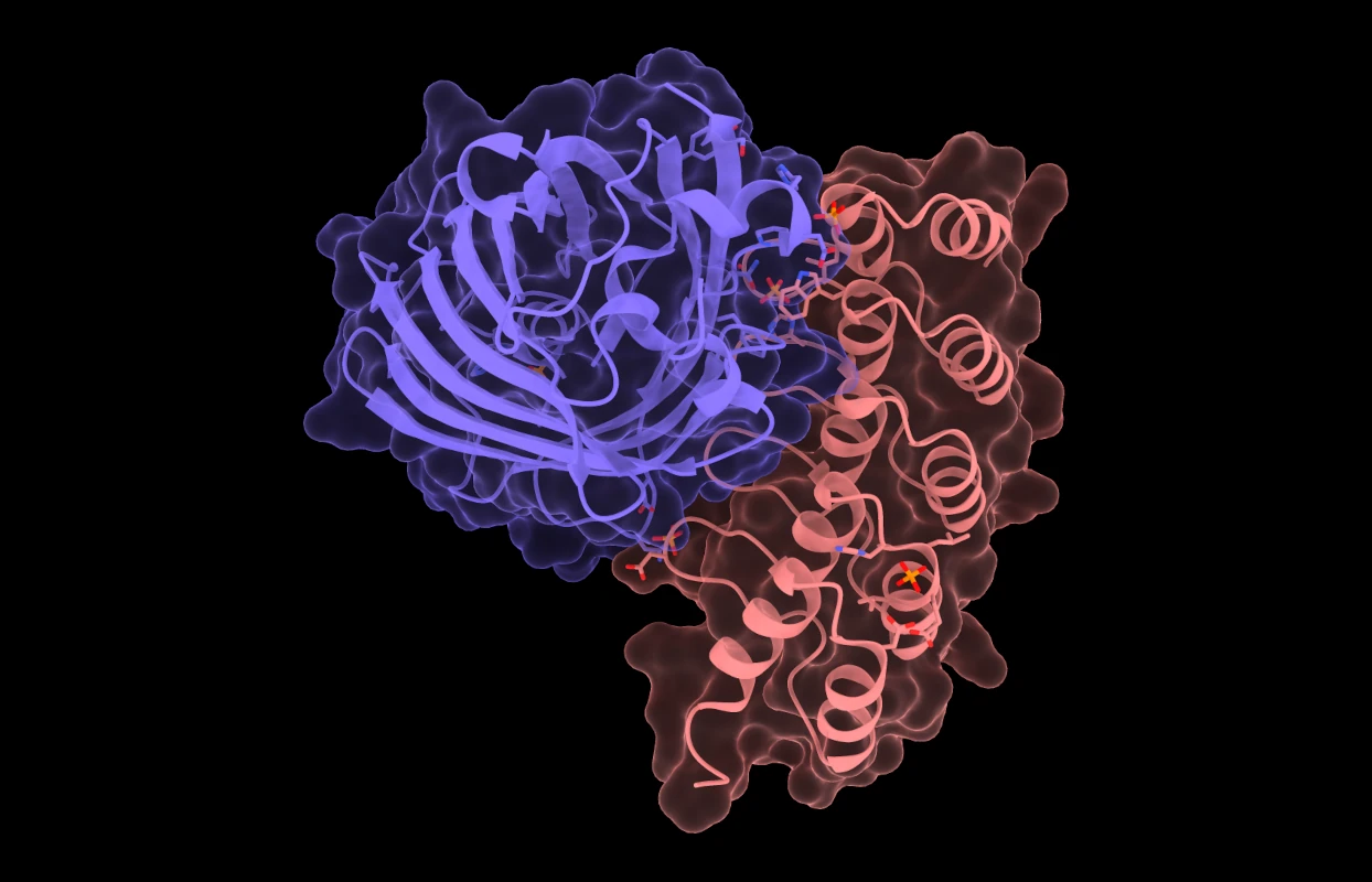 Diagram of conformational pre-organization
