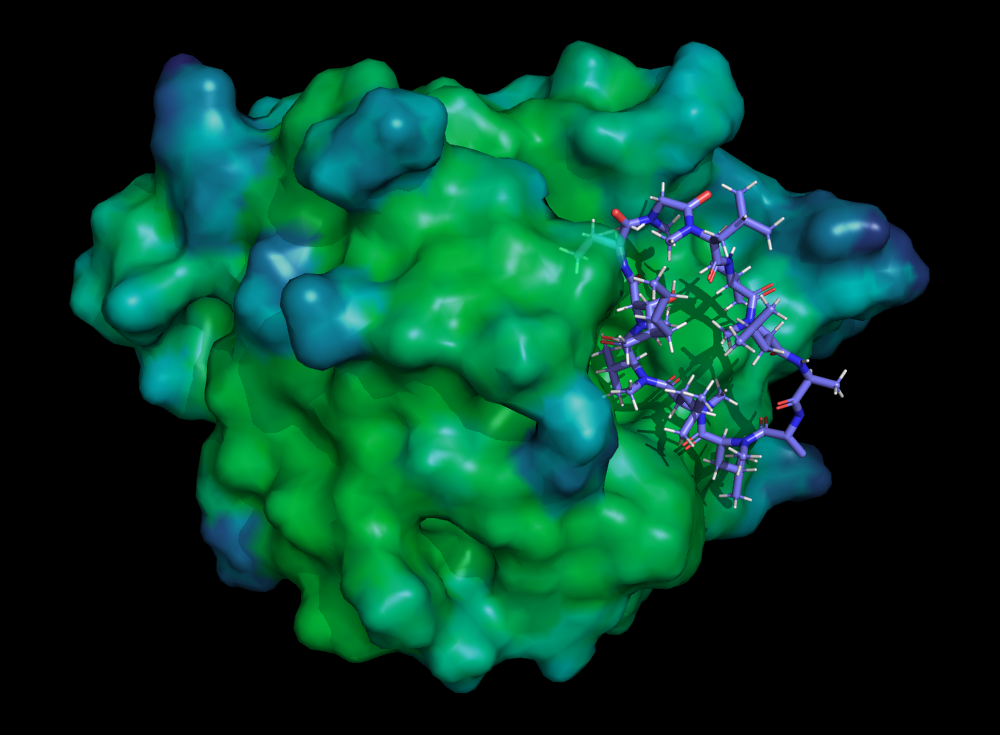 The crystal structure of PPIL1 in complex with cyclosporine.