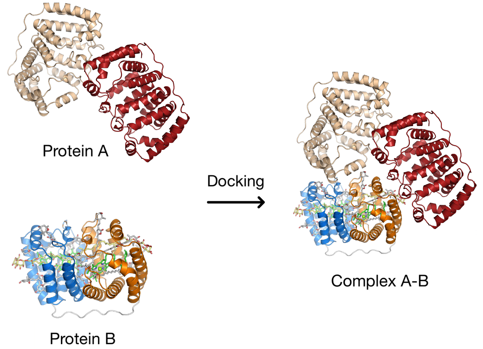 Modified image of a protein trimer formed via protein-protein docking by Opabinia Regalis.