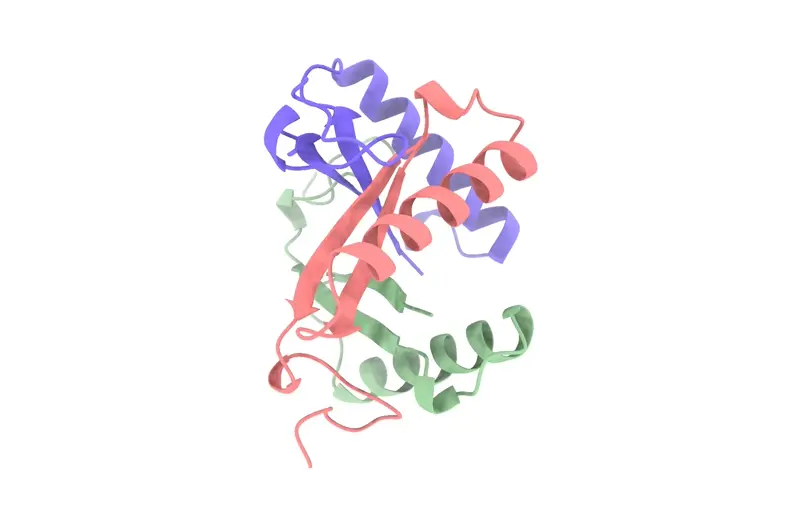 Example proteins folded using RoseTTAFold2 on Neurosnap with the C3 symmetry.