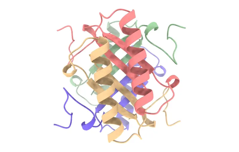 Example proteins folded using RoseTTAFold2 on Neurosnap with the D2 symmetry.