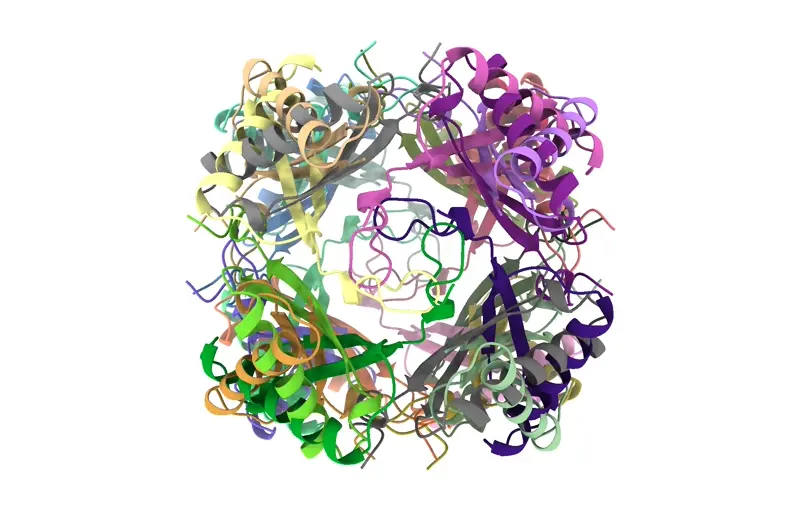 Example proteins folded using RoseTTAFold2 on Neurosnap with the O symmetry.