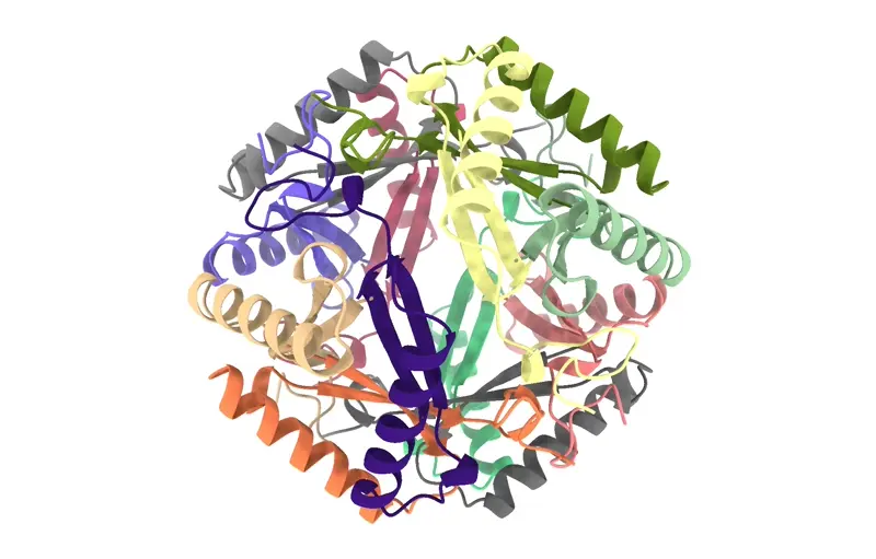 Example proteins folded using RoseTTAFold2 on Neurosnap with the T symmetry.