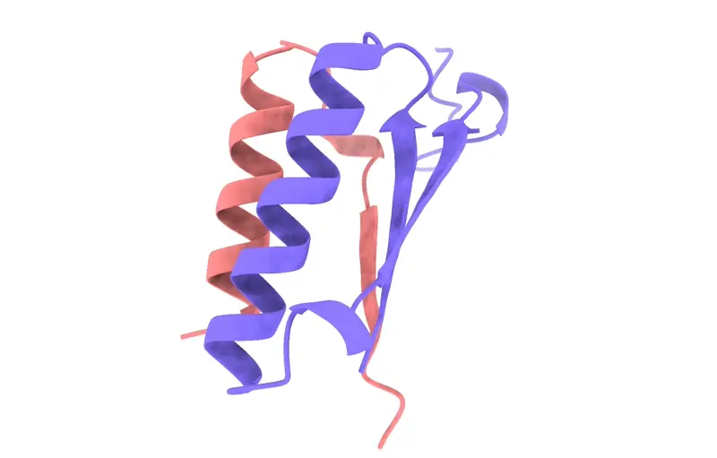 Example proteins folded using RoseTTAFold2 on Neurosnap with no symmetry.