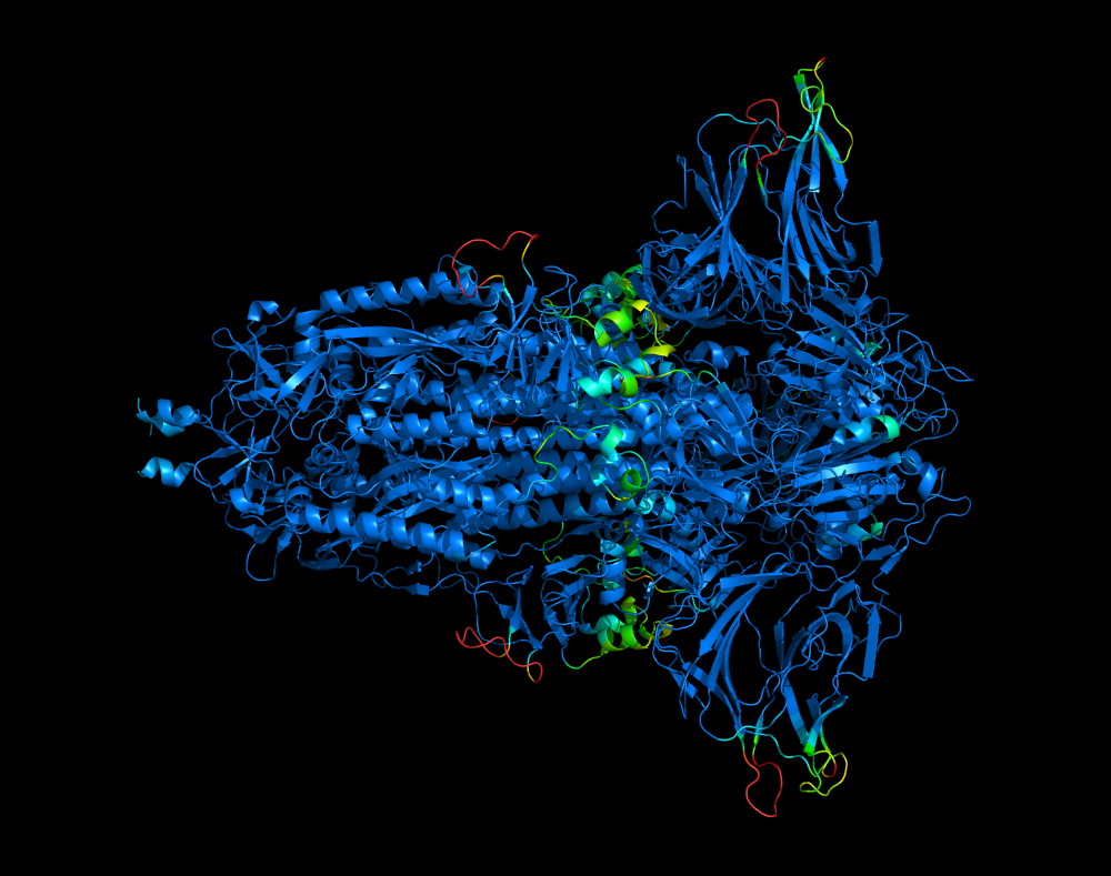 AlphaFold2 predicted structure of the Covid-19 spike glycoprotein made using Neurosnap, colored by pLDDT field.