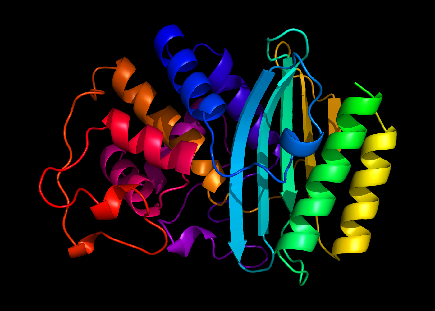 Coloring a protein's main chain using a very pretty gradient.