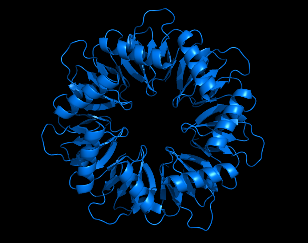 Cartoon model of the protein 7BME.