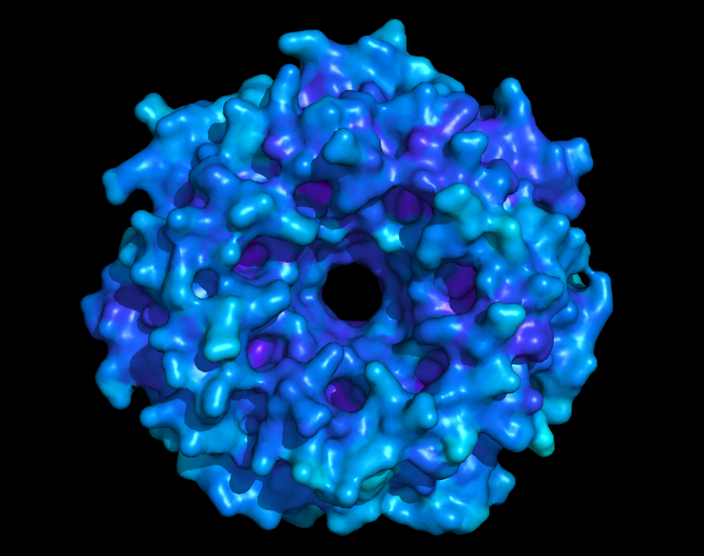 Surface model of the 7BME protein.