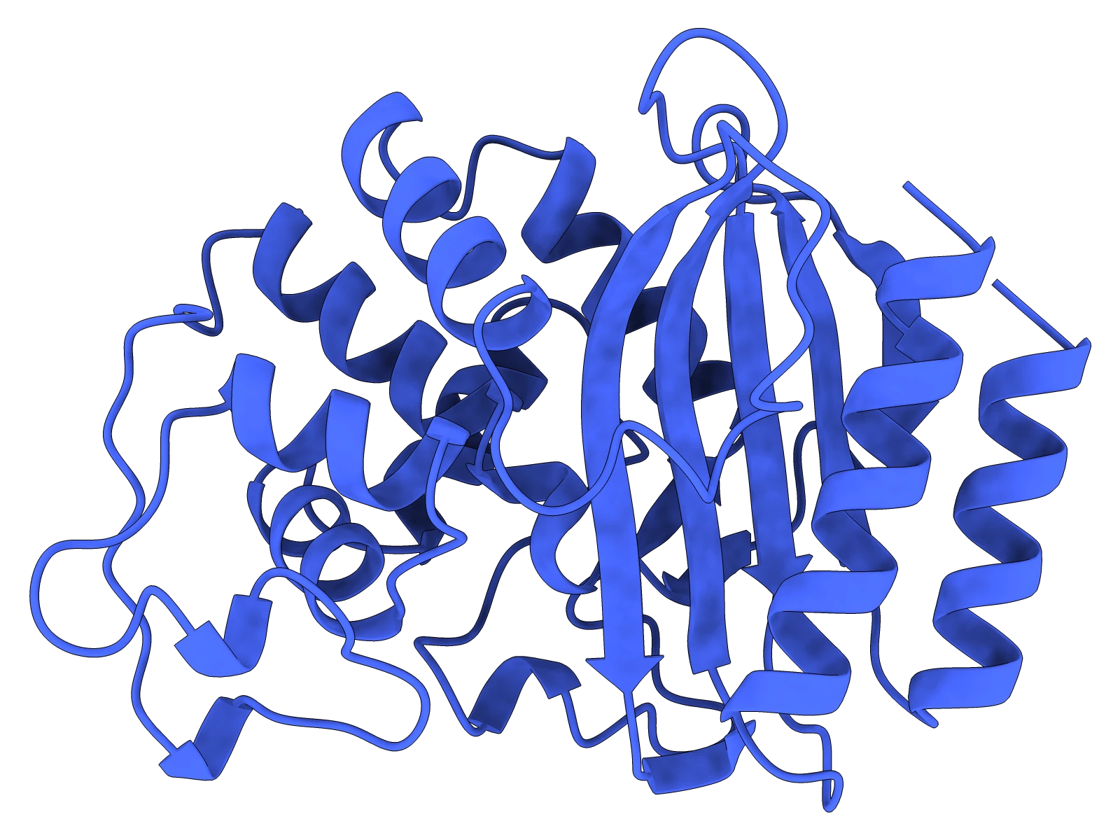 Designed variant of β-lactamase enzyme made with NeuroFold